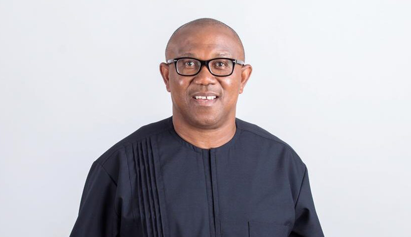 WITHIN THE FRENZY AND ADMIRATION POURED ON PETER OBI – THE NEED FOR NIGERIAN YOUTHS TO ALSO RESPECT THE OPINIONS OF OTHERS